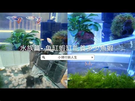 魚缸大小計算|魚缸計算機